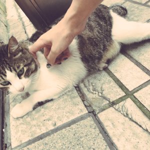 操死亚洲小女人
